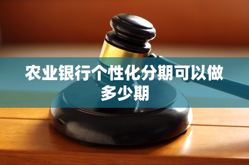 农业银行个性化分期可以做多少期