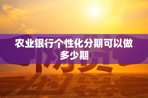 农业银行个性化分期可以做多少期