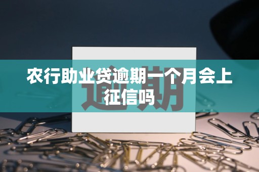 农行助业贷逾期一个月会上征信吗