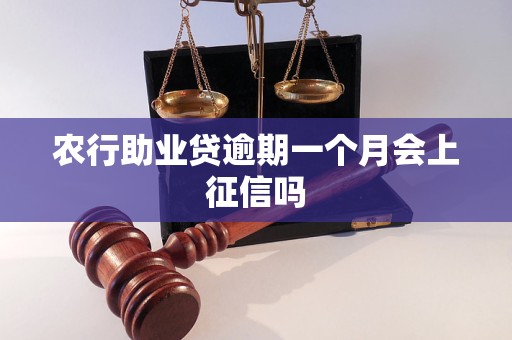 农行助业贷逾期一个月会上征信吗