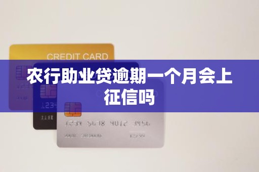 农行助业贷逾期一个月会上征信吗
