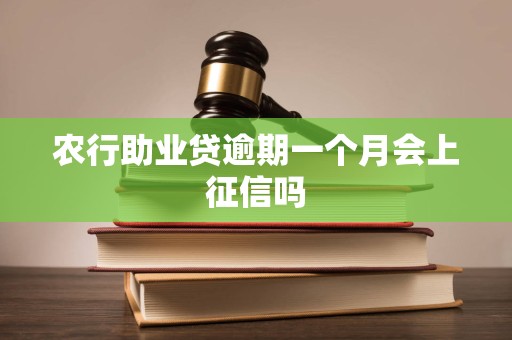 农行助业贷逾期一个月会上征信吗