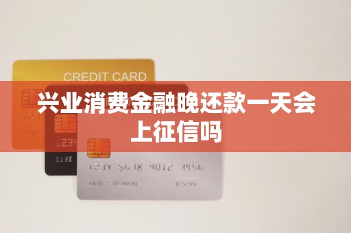 兴业消费金融晚还款一天会上征信吗