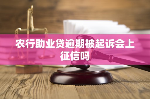 农行助业贷逾期被起诉会上征信吗 农行助业贷逾期被起诉会上征信吗