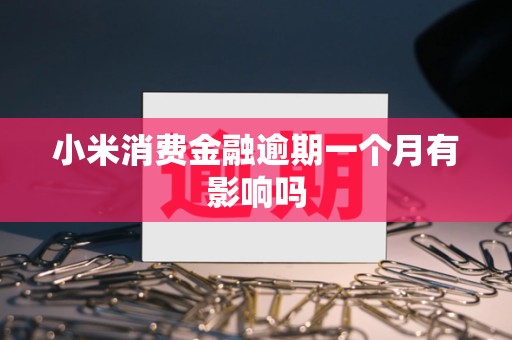 小米消费金融逾期一个月有影响吗