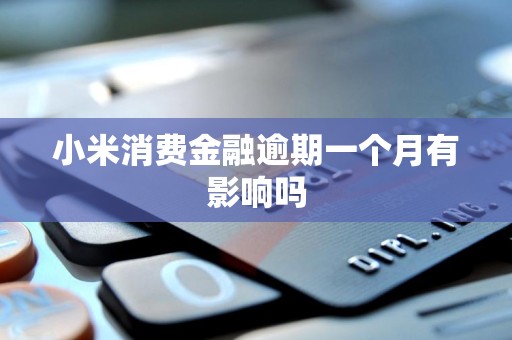 小米消费金融逾期一个月有影响吗