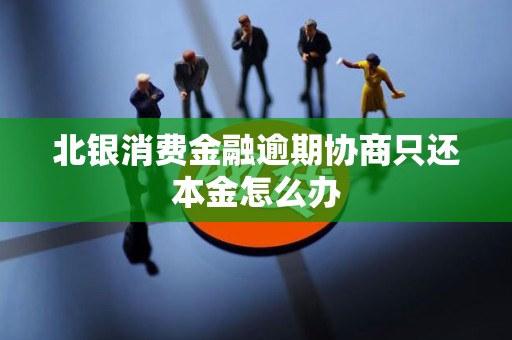 北银消费金融逾期协商只还本金怎么办