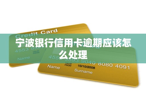 宁波银行信用卡逾期应该怎么处理
