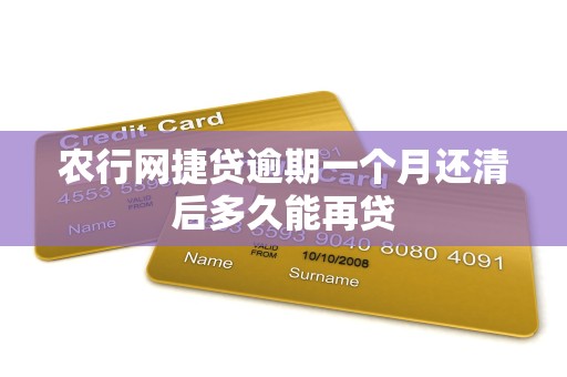 农行网捷贷逾期一个月还清后多久能再贷