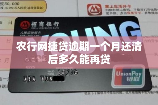 农行网捷贷逾期一个月还清后多久能再贷