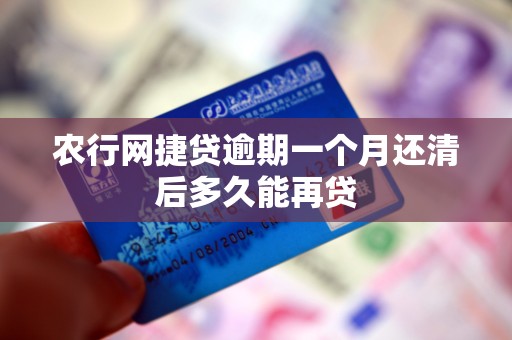 农行网捷贷逾期一个月还清后多久能再贷