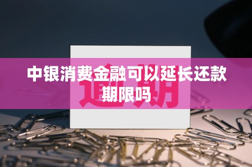 中银消费金融可以延长还款期限吗