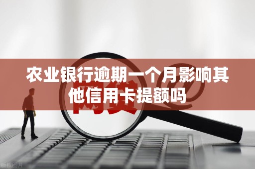 农业银行逾期一个月影响其他信用卡提额吗 农业银行逾期一个月影响其他信用卡提额吗