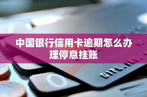 中国银行信用卡逾期怎么办理停息挂账