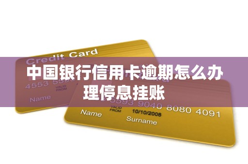 中国银行信用卡逾期怎么办理停息挂账