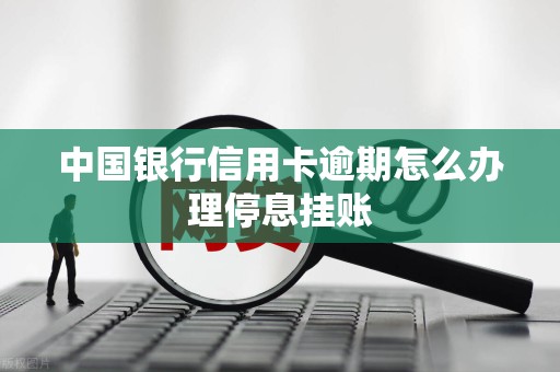 中国银行信用卡逾期怎么办理停息挂账