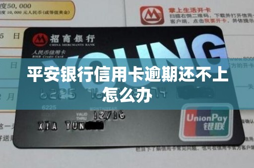 平安银行信用卡逾期还不上怎么办 平安银行信用卡逾期还不上怎么办
