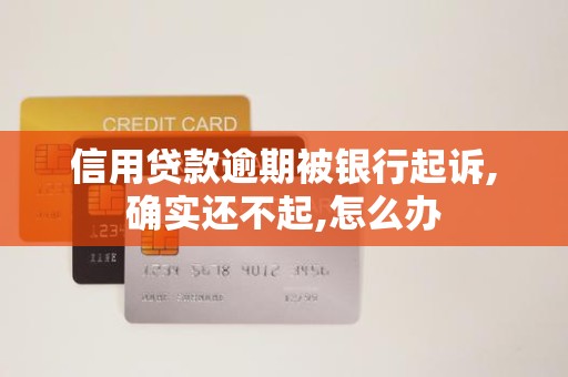 信用贷款逾期被银行起诉,确实还不起,怎么办