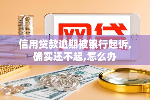 信用贷款逾期被银行起诉,确实还不起,怎么办