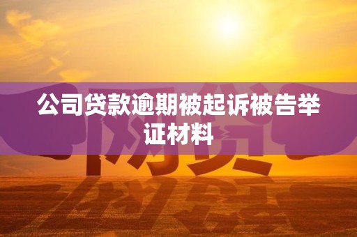 公司贷款逾期被起诉被告举证材料
