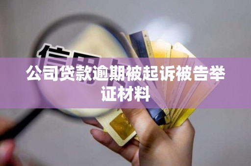 公司贷款逾期被起诉被告举证材料