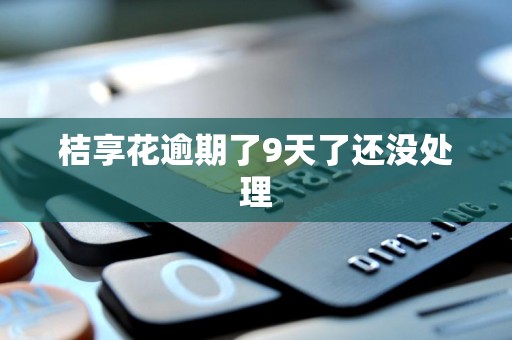 桔享花逾期了9天了还没处理