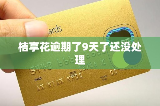 桔享花逾期了9天了还没处理