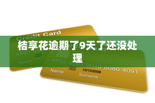 桔享花逾期了9天了还没处理