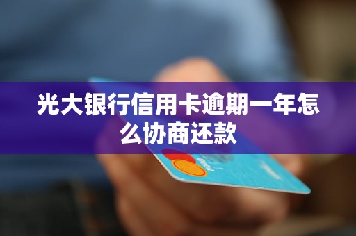 光大银行信用卡逾期一年怎么协商还款
