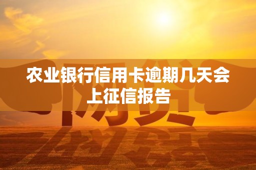 农业银行信用卡逾期几天会上征信报告 农业银行信用卡逾期几天会上征信报告