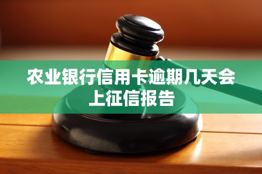 农业银行信用卡逾期几天会上征信报告 农业银行信用卡逾期几天会上征信报告