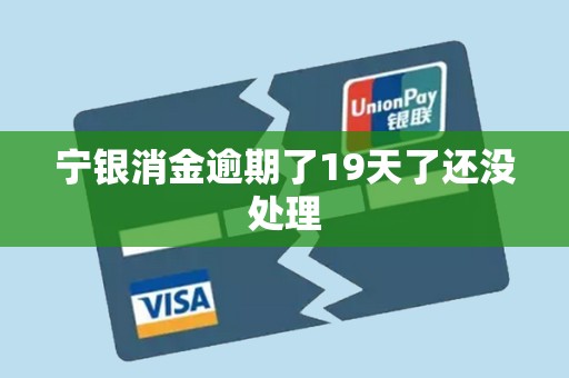 宁银消金逾期了19天了还没处理