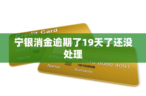 宁银消金逾期了19天了还没处理