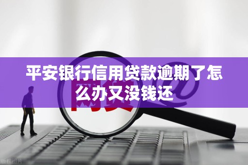 平安银行信用贷款逾期了怎么办又没钱还