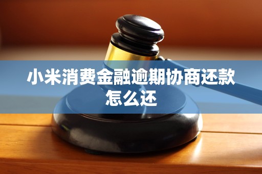 小米消费金融逾期协商还款怎么还