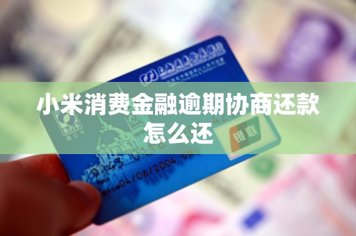 小米消费金融逾期协商还款怎么还