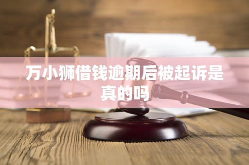 万小狮借钱逾期后被起诉是真的吗