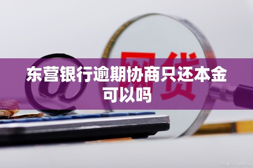 东营银行逾期协商只还本金可以吗