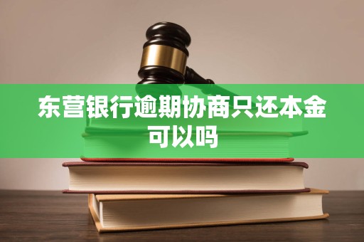 东营银行逾期协商只还本金可以吗