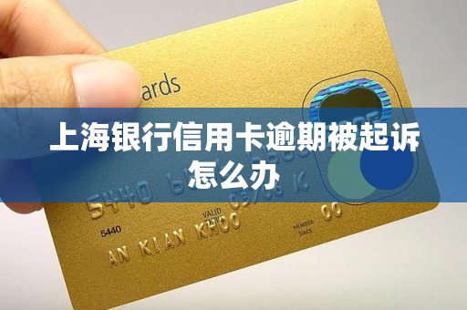 上海银行信用卡逾期被起诉怎么办