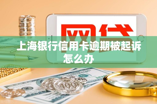 上海银行信用卡逾期被起诉怎么办