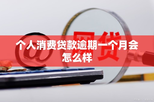 个人消费贷款逾期一个月会怎么样