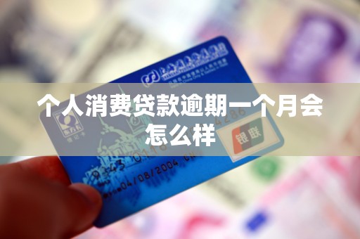 个人消费贷款逾期一个月会怎么样