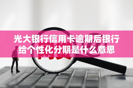 光大银行信用卡逾期后银行给个性化分期是什么意思