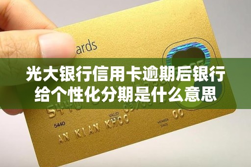 光大银行信用卡逾期后银行给个性化分期是什么意思