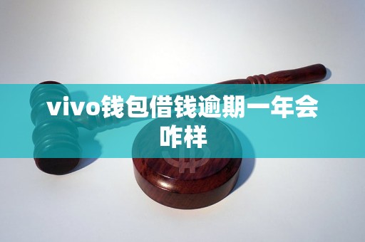 vivo钱包借钱逾期一年会咋样