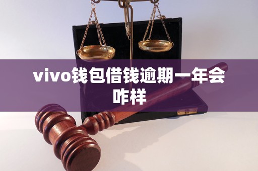 vivo钱包借钱逾期一年会咋样