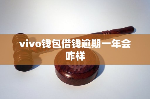 vivo钱包借钱逾期一年会咋样