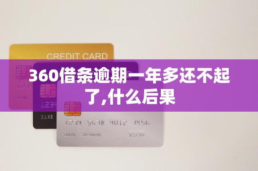 360借条逾期一年多还不起了,什么后果