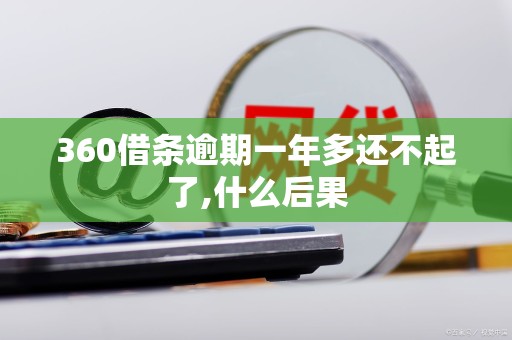 360借条逾期一年多还不起了,什么后果